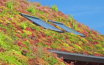 Sterte living roof systems